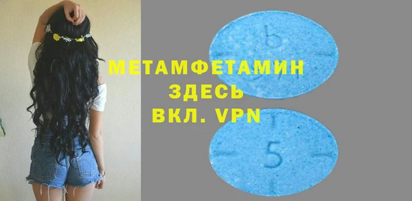 прущие грибы Покачи
