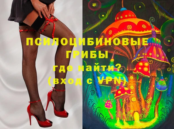 гидра Белокуриха