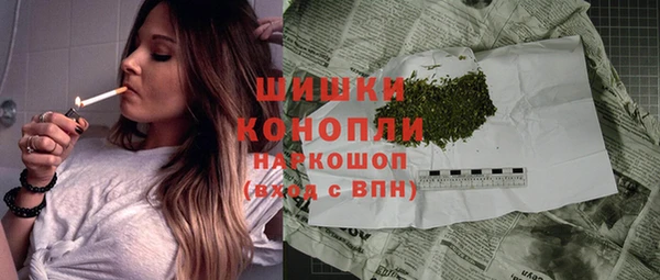 гидра Белокуриха