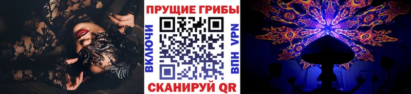 как найти закладки  Красный Холм  Галлюциногенные грибы MAGIC MUSHROOMS 